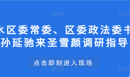 三水區(qū)委常委、區(qū)委政法委書(shū)記孫延馳來(lái)圣雪顏調(diào)研指導(dǎo)